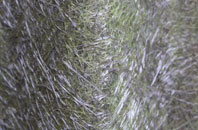 Great Wolford fibreglass roof work